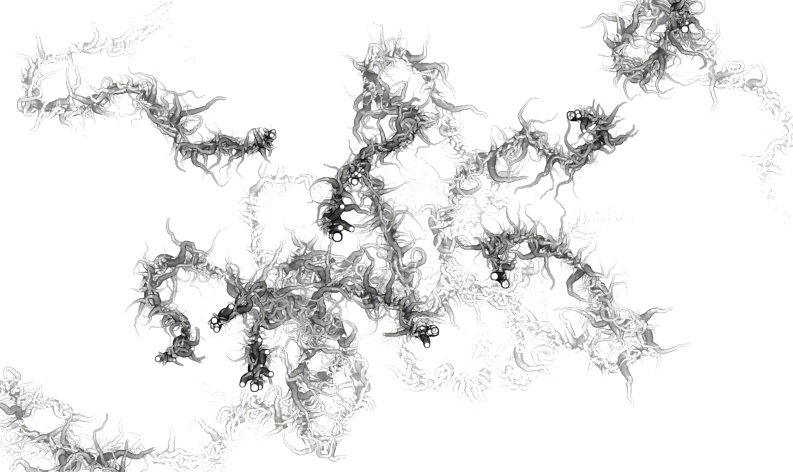 Screen capture on white: dense grey branching tendrils sprouting from several clusters of small ringed dots and sprawling across the frame.